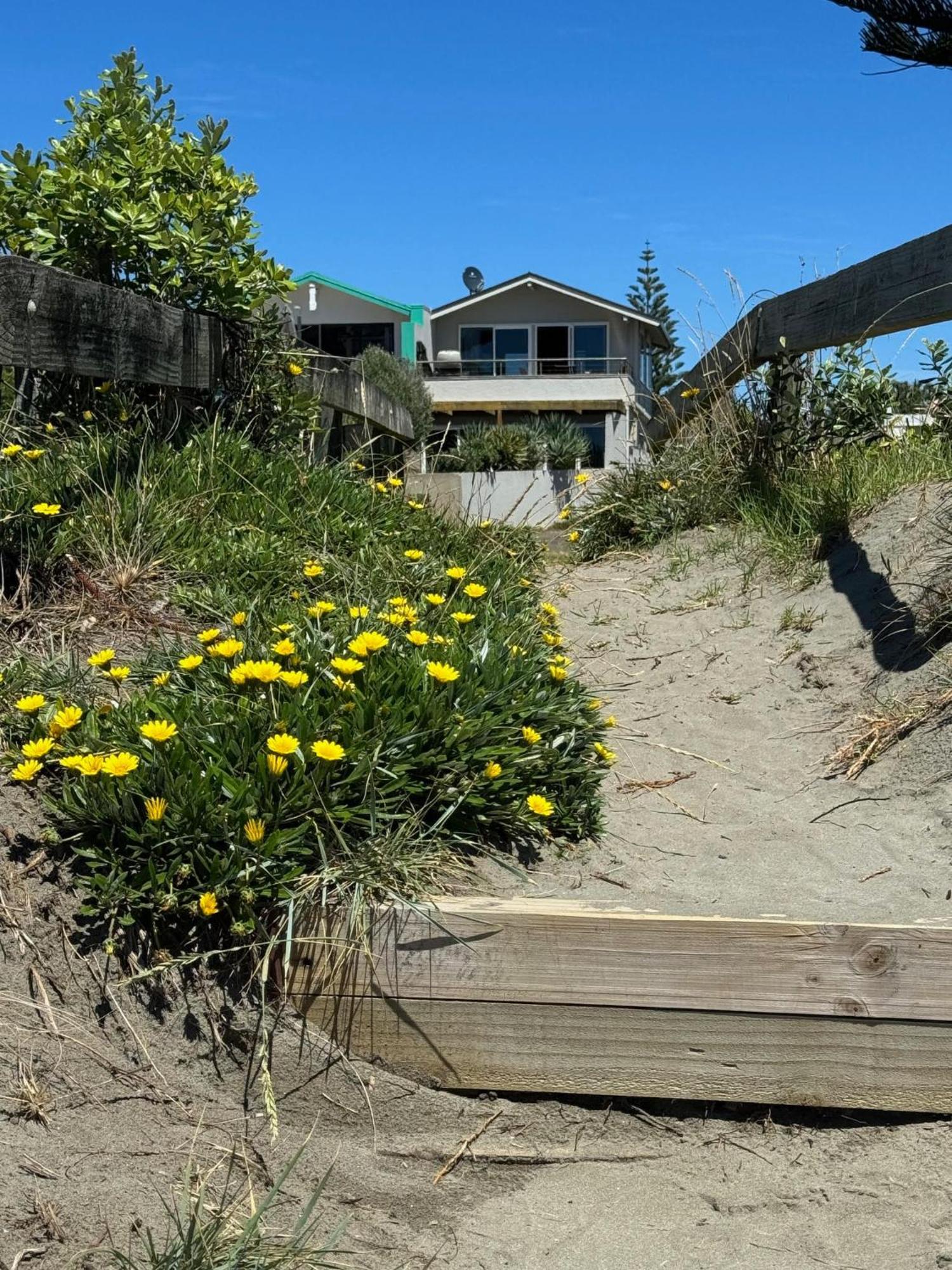 Beach Front Apartment Ohope Buitenkant foto